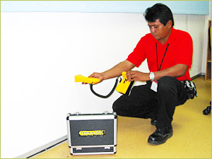 TIMBER BORERS - PEST CONTROL ADVICE - FUMAPEST AUSTRALIA