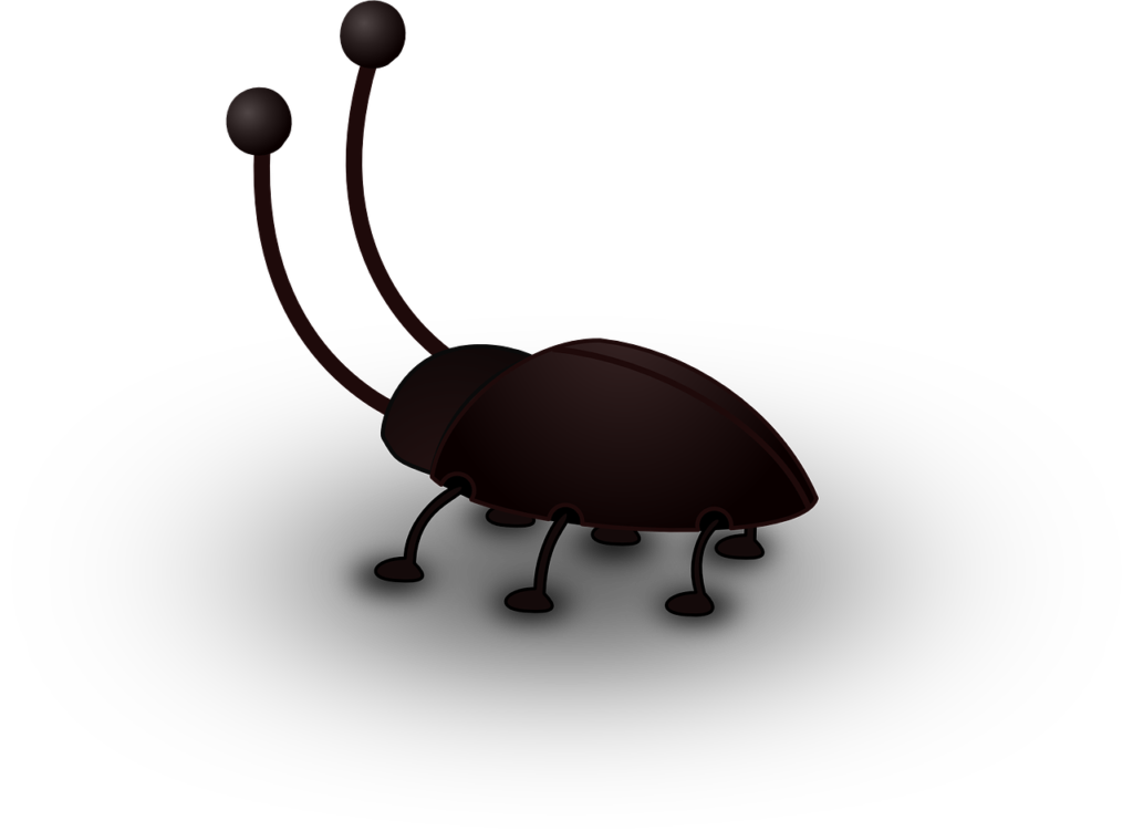 german cockroach